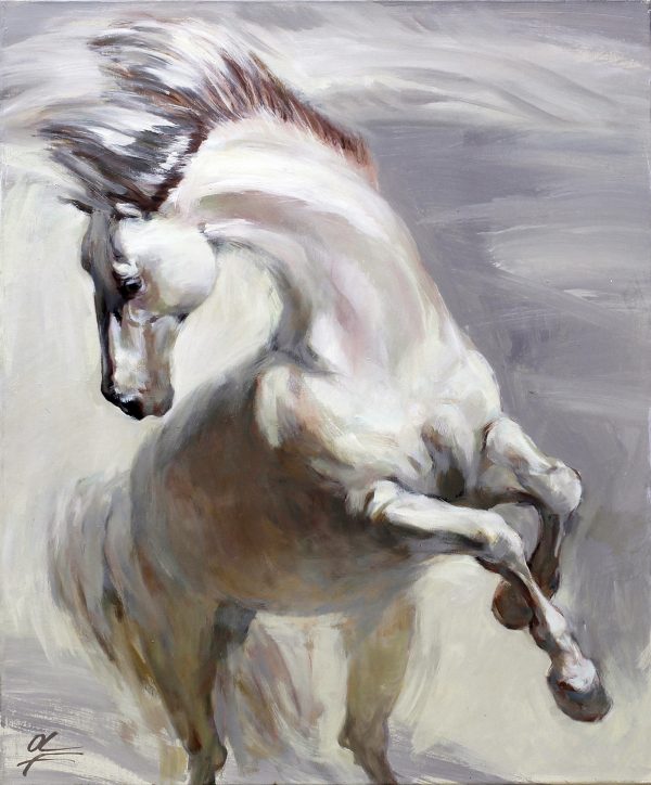 SILVER. DRESSURPFERD